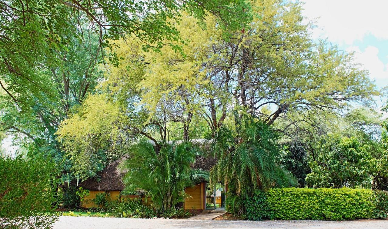 Divundu Guest House المظهر الخارجي الصورة